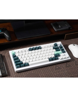 لوحة مفاتيح Keychron Q1 HE لاسلكية ميكانيكية مغناطيسية بحجم 75% | مفاتيح Gateron Magnetic Nebula | لون أبيض